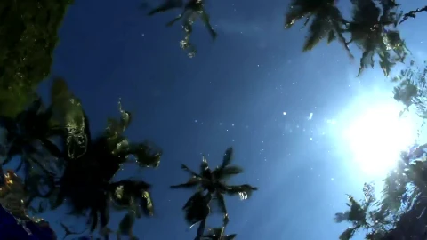 Free Video Stock Sky View From Underwater Live Wallpaper - Free Live Wallpaper