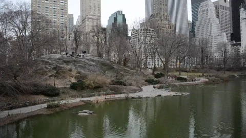 Free Video Stock Skyscrapers From A Cold City Park Live Wallpaper - Free Live Wallpaper