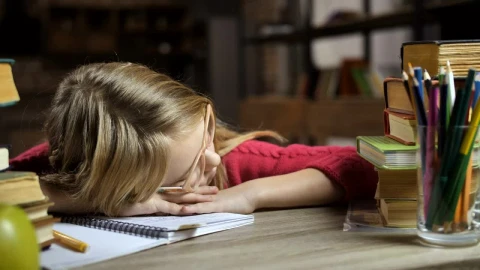 Free Video Stock Sleeping Instead Of Doing Homework Live Wallpaper - Free Live Wallpaper