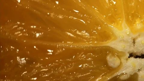 Free Video Stock Slice Of Orange Close Up Live Wallpaper - Free Live Wallpaper
