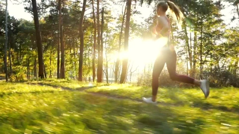 Free Video Stock Slim Runner Running Against The Light In The Park Live Wallpaper - Free Live Wallpaper