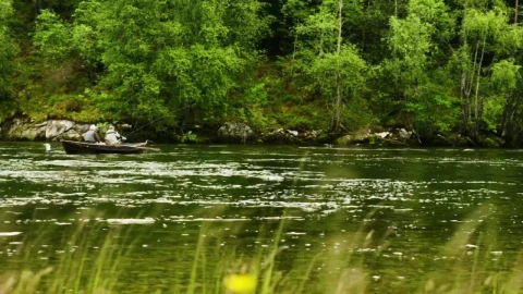 Free Video Stock Slow Flowing River Live Wallpaper - Free Live Wallpaper