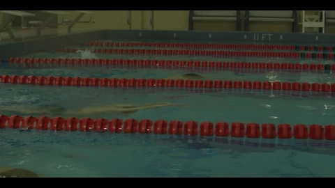 Free Video Stock Slow Motion Swimming Race In An Olympic Pool Live Wallpaper - Free Live Wallpaper