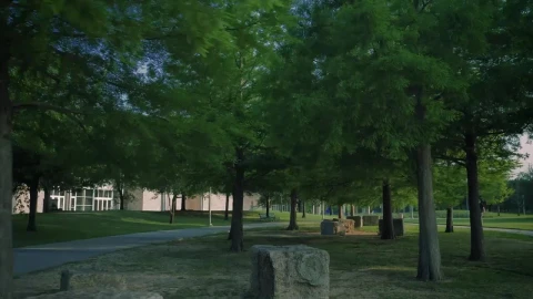Free Video Stock Slow Walk Through A Quiet Park With Grass And Trees Live Wallpaper - Free Live Wallpaper