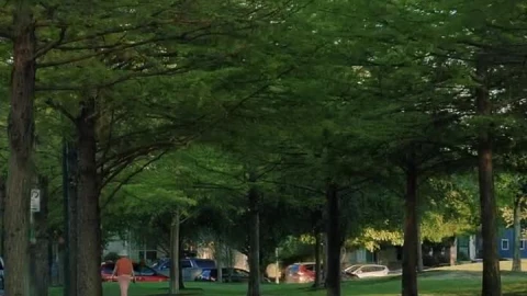 Free Video Stock Slowly Walking Down A Path In A Park Live Wallpaper - Free Live Wallpaper
