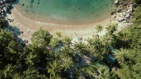 Free Video Stock Small Beach With Palm Trees And Turquoise Water Live Wallpaper - Free Live Wallpaper