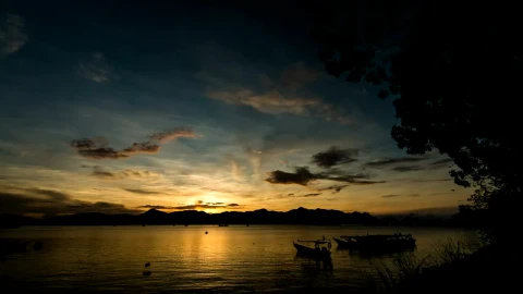 Free Video Stock Small Boats Anchored At The Edge Of A Lake Live Wallpaper - Free Live Wallpaper
