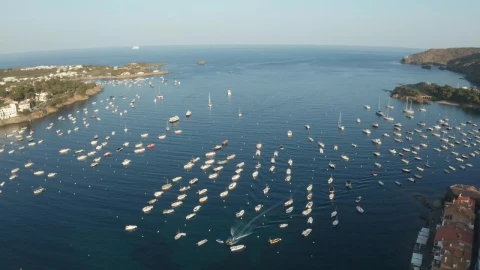 Free Video Stock Small Boats Anchored In A Harbor Live Wallpaper - Free Live Wallpaper