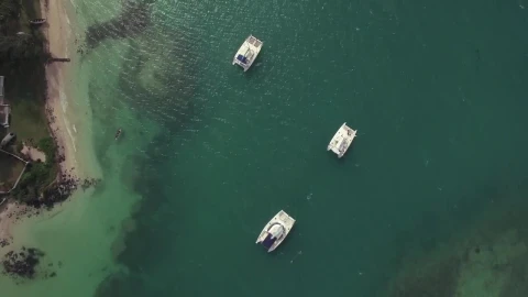 Free Video Stock Small Boats Around Mauritius Island Live Wallpaper - Free Live Wallpaper