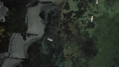 Free Video Stock Small Boats Over Coral And Seaweed Live Wallpaper - Free Live Wallpaper