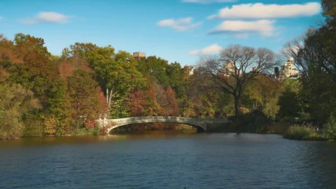 Free Video Stock Small Bridge In The Park Live Wallpaper - Free Live Wallpaper