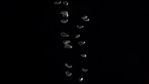 Free Video Stock Small Bubbles Underwater Live Wallpaper - Free Live Wallpaper