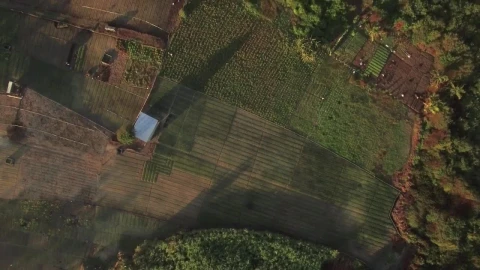 Free Video Stock Small Farm On The Coast Live Wallpaper - Free Live Wallpaper