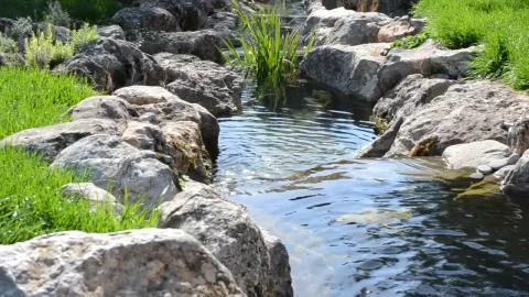 Free Video Stock Small Garden Stream Live Wallpaper - Free Live Wallpaper