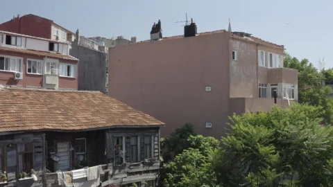 Free Video Stock Small Houses By The Waterfront Live Wallpaper - Free Live Wallpaper