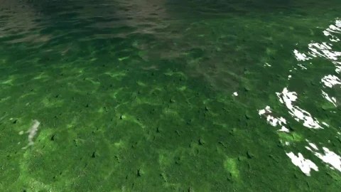Free Video Stock Small Ocean Waves Near The Shore Live Wallpaper - Free Live Wallpaper