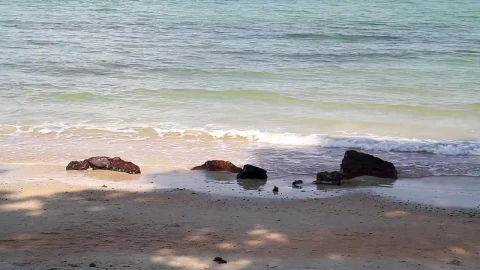 Free Video Stock Small Rocks Along The Beach Live Wallpaper - Free Live Wallpaper