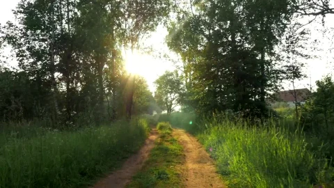 Free Video Stock Small Rural Road Between Fields Live Wallpaper - Free Live Wallpaper