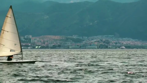 Free Video Stock Small Sailboat Sailing The Sea Live Wallpaper - Free Live Wallpaper