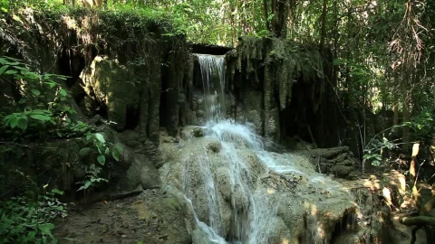 Free Video Stock Small Waterfall In A Jungle Live Wallpaper - Free Live Wallpaper