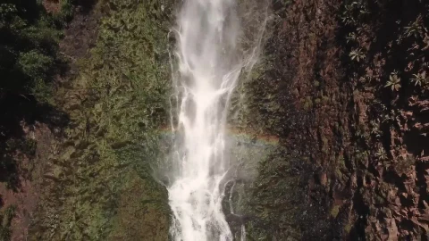 Free Video Stock Small Waterfall Live Wallpaper - Free Live Wallpaper