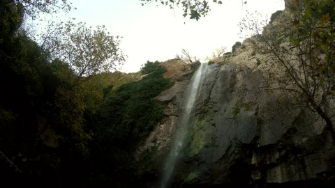 Free Video Stock Small Waterfall Seen From Below Live Wallpaper - Free Live Wallpaper
