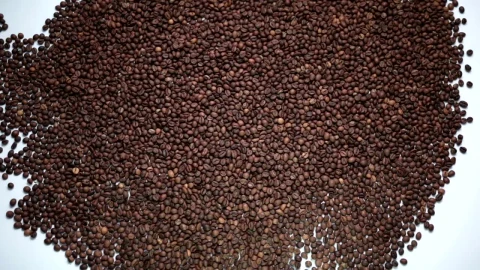Free Video Stock Smile Appearing In Coffee Beans Live Wallpaper - Free Live Wallpaper