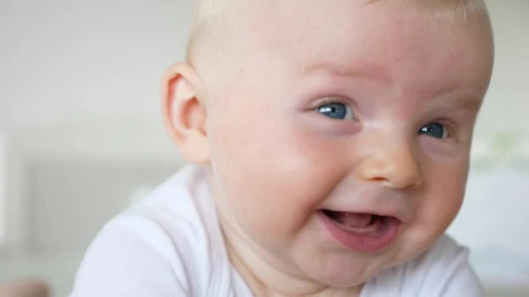 Free Video Stock Smiling Newborn Portrait Live Wallpaper - Free Live Wallpaper