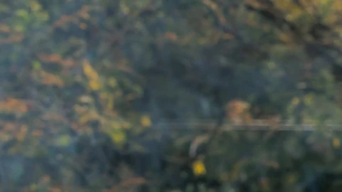 Free Video Stock Smoke On An Unfocused Background Live Wallpaper - Free Live Wallpaper