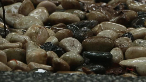 Free Video Stock Smooth Stones Covered In Rain Water Live Wallpaper - Free Live Wallpaper