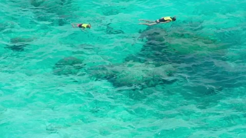 Free Video Stock Snorkeling On Turquoise Waters Live Wallpaper - Free Live Wallpaper