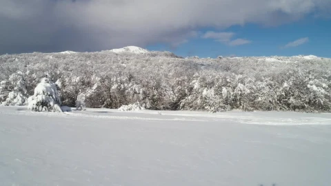 Free Video Stock Snow Covering The Countryside Live Wallpaper - Free Live Wallpaper