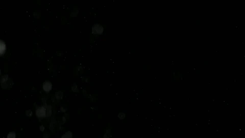 Free Video Stock Snow Falling At Night Live Wallpaper - Free Live Wallpaper