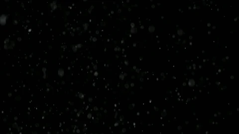 Free Video Stock Snow Falling Gently Live Wallpaper - Free Live Wallpaper