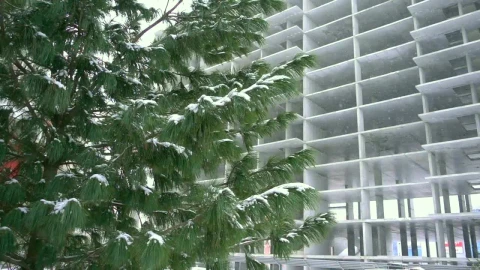 Free Video Stock Snow Falling In Construction Site Live Wallpaper - Free Live Wallpaper