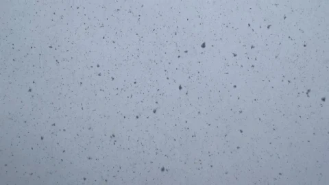 Free Video Stock Snow Falling Live Wallpaper - Free Live Wallpaper