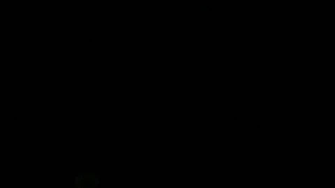 Free Video Stock Snow Falling On A Dark Background Live Wallpaper - Free Live Wallpaper