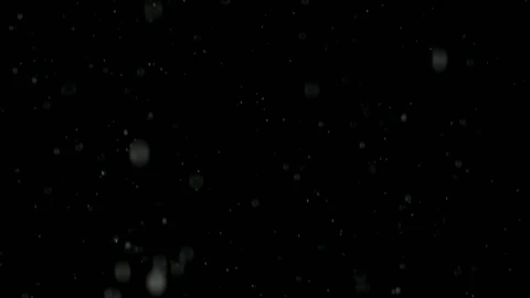 Free Video Stock Snow Falling Softly Against A Black Background Live Wallpaper - Free Live Wallpaper