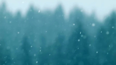 Free Video Stock Snow Falling With An Unfocused Background Live Wallpaper - Free Live Wallpaper