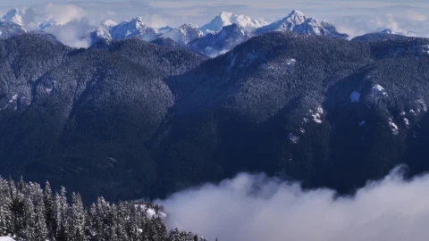Free Video Stock Snow Mountains Pine Covered Live Wallpaper - Free Live Wallpaper