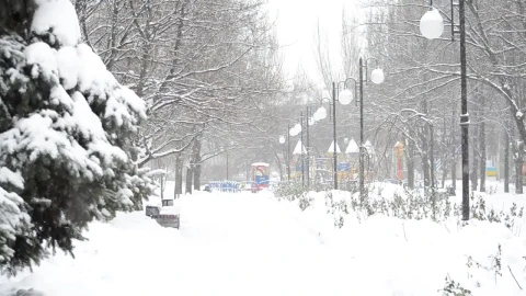 Free Video Stock Snowfall Over A City Park Live Wallpaper - Free Live Wallpaper