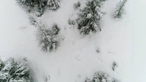 Free Video Stock Snowing In A Forest Top Aerial Shot Live Wallpaper - Free Live Wallpaper