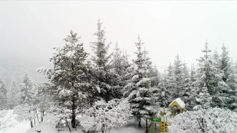 Free Video Stock Snowing In A Playground In The Forest Live Wallpaper - Free Live Wallpaper