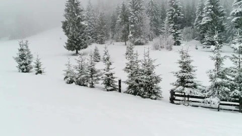 Free Video Stock Snowing On The Edge Of A Farm In The Woods Live Wallpaper - Free Live Wallpaper