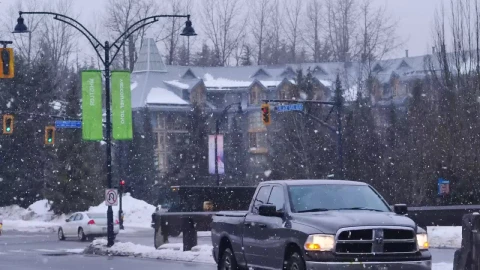 Free Video Stock Snowing On The Streets Of Canada Live Wallpaper - Free Live Wallpaper