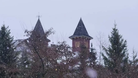 Free Video Stock Snowing Softly In Winter Live Wallpaper - Free Live Wallpaper