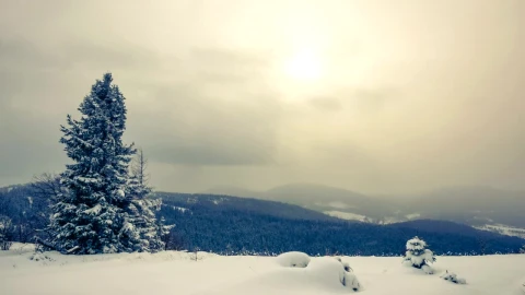 Free Video Stock Snowstorm And Fog Time Lapse Live Wallpaper - Free Live Wallpaper