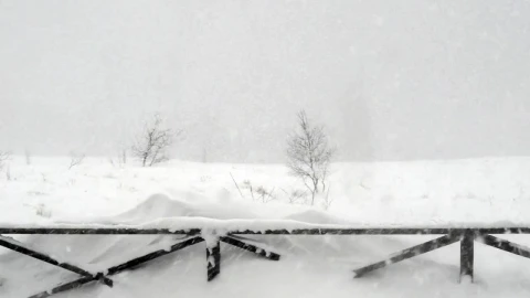 Free Video Stock Snowstorm In The Countryside Live Wallpaper - Free Live Wallpaper