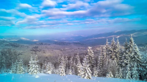 Free Video Stock Snowy Forest In The Mountain Landscape Live Wallpaper - Free Live Wallpaper
