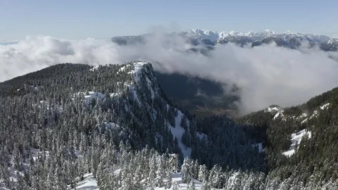 Free Video Stock Snowy Mountain In Canada Full Of Pine Trees Live Wallpaper - Free Live Wallpaper